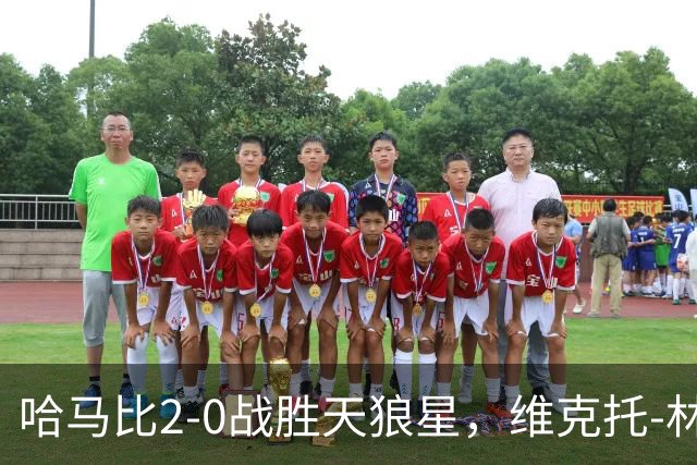 哈马比2-0战胜天狼星，维克托-林与亚伯拉罕贡献关键进球